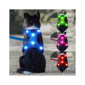 Safety LED Dog Harness for Night Walking Advantages Blue Size S