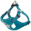 Safety-Oriented Dog Harness with Anti-Pull Design and Reflective Accents Blue