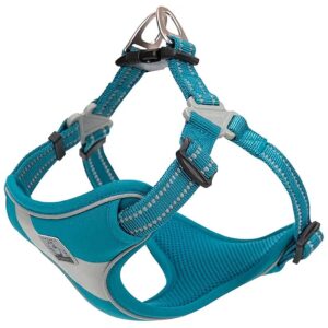 Safety-Oriented Dog Harness with Anti-Pull Design and Reflective Accents Blue