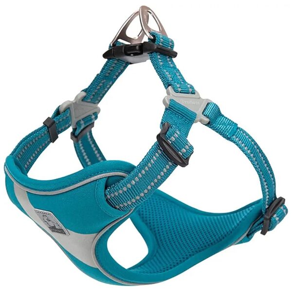 Safety-Oriented Dog Harness with Anti-Pull Design and Reflective Accents Blue