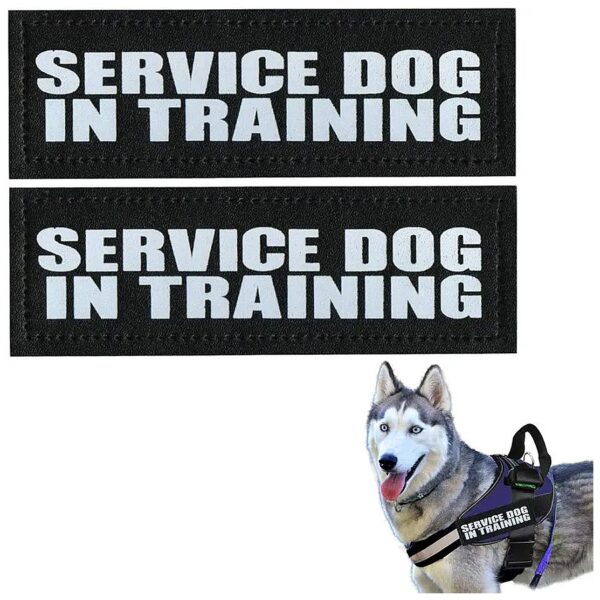 Safety Reflective Glow in Dark Night Working Dog Patches