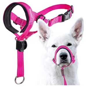 Safety Strap Head Collar for Small Medium Large Dog Training