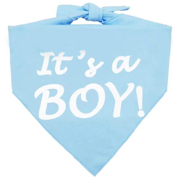 Said "It's a Boy" or "It's a Girl