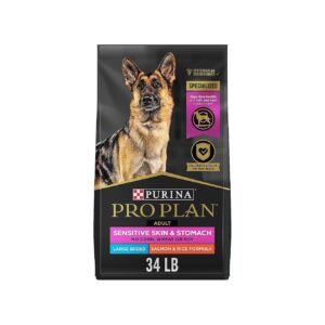 Salmon Omega-Rich Large Breed Dog Food for Sensitive Skin and Stomach