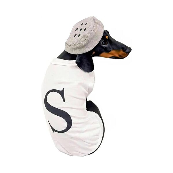 Salt and Pepper Theme Dog Costume for Halloween Pet Dog Clothing