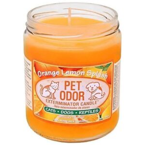 Scented Pet Odor Exterminator Candle Orange Lemon Splash Indoor Use