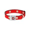 Seatbelt Buckle Dog Collar with Flash Logo and One Inch Wide Strips for 15-26 Inch Neck