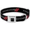 Seatbelt Style Dog Collar with Buckle Lock and Adjustable Fit