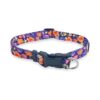 Secure and Comfortable Dog Collar for Small and Medium Breeds with Cinching Technology