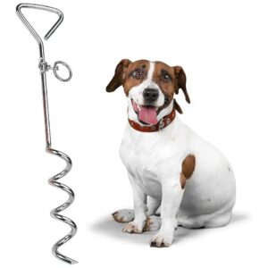 Secure and Reliable Stainless Steel Spiral Dog Tie Out Stake for Easy Outdoor Exercise