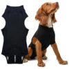 Secure, and Supportive Recovery Suit for Dogs - Medium Weight (35-60 LBS)