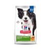 Senior Dog Vitality Nutrition Chicken Rice Dry Food 21 5 Lb Bag