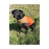 Serious Protection Orange Coyote Medium Dog Cordura Adjustable Vest USA