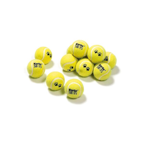 Set of 12 Tennis Balls 6cm Diameter with Tennis Playing Fun Kit