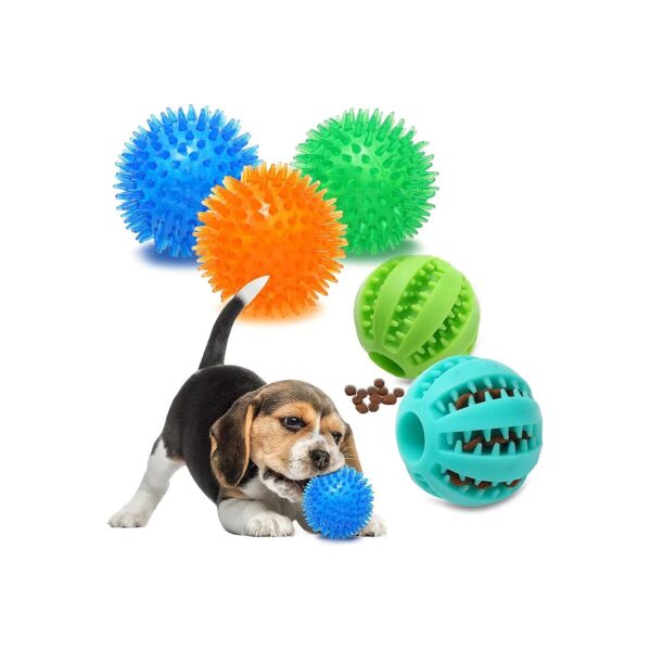 Set of 5 Squeaky Small Dog Toy Balls for Dog Training and Fun Play