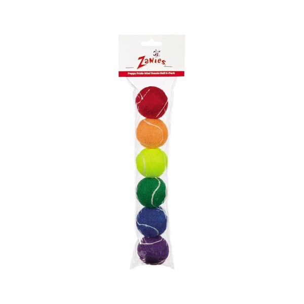 Set of 6 Mini Rainbow Tennis Balls for Small Breed Dogs and Puppies