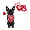 Shaped Dog Toys and Soft Heart Printed Dog Bandanas for Small Medium Large Dogs - 2Pack