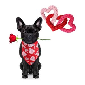 Shaped Dog Toys and Soft Heart Printed Dog Bandanas for Small Medium Large Dogs - 2Pack