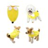 Shaped Dog and Cat Halloween Costumes, Pet Designer Dress Hoodie