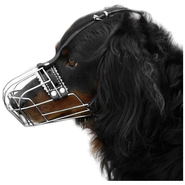 Shaped Metal Chrome Muzzle for Dogs with Leather Straps 7-1 in Length