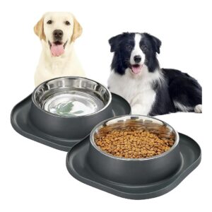 Silicone Feeding Mat and Stainless Steel Dog Bowls for Mess-Free Meals and Easy Cleaning