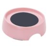 Silicone and Plastic Pet Bowl Riser for Improved Pet Nutrition