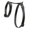 Simple Black Harness with Adjustable Girth for Small Pets under 20 lbs