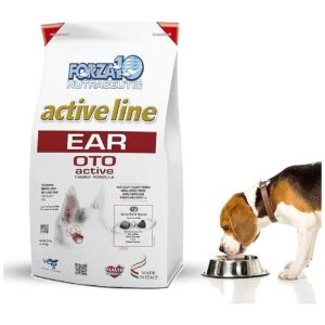 Simple, Effective Ear Infection Treatment for Adult Dogs