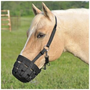 Simple yet Adjustable Black Halter for Horse Grazing