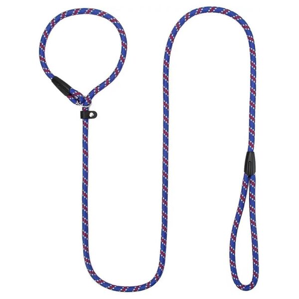 Six Foot Durable Dog Slip Lead Leash for Small Medium Dogs Training and Walking