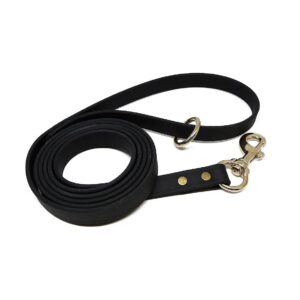 Six Foot Long Biothane Dog Training Leash for Small Medium and Large Dogs