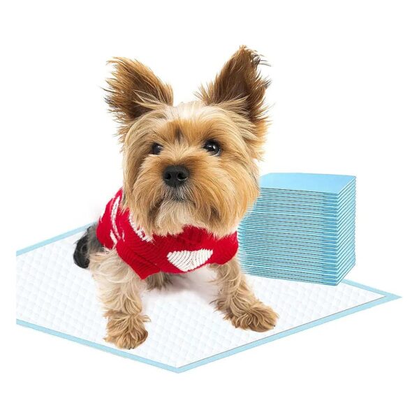 Six-Layer Dog Training Pads for Small Pets with Quick-Dry Surface and Leak-Proof Design