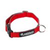 Size-Fits-All Dog Collar with Long Lasting Colors and Easy Snap Closure