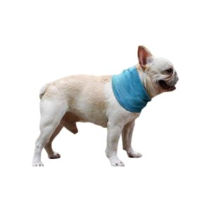 Size S Dog Cooling Scarf for Pet Collar and Accessories