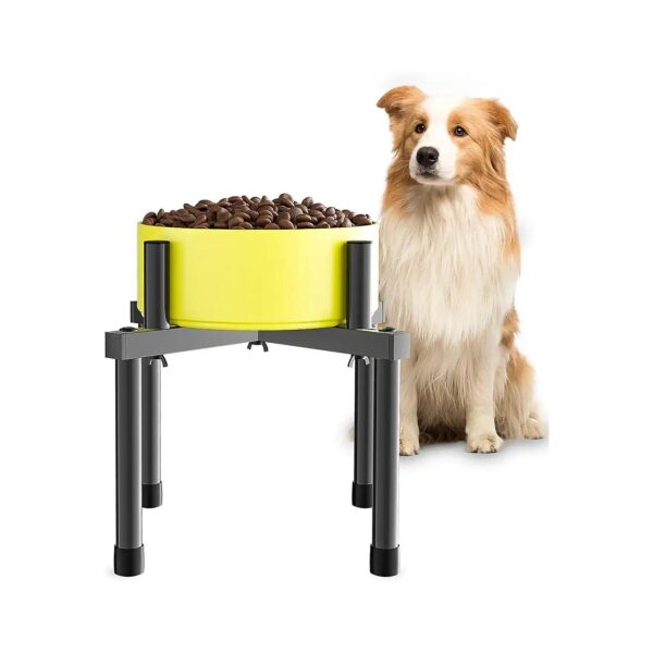 Sized Dog Bowl Stand with Adjustable Height and Anti-Tip Design