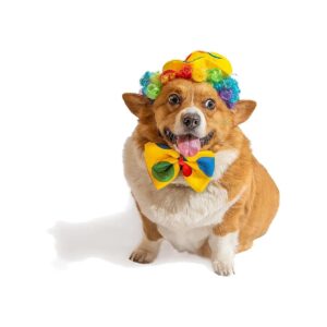 Sized Dog Clown Costume with Wig, Hat, and Bow Tie