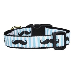 Sized Dog Collar with Mustache Pattern and 1-Inch Wide Width