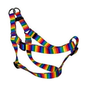 Sized Dog Step-In Harness with Rainbow Stripes, Designer Quality Construction