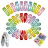 Sized Pet Hair Accessories Kit with 30 Hair Clips, Rubber Bands, and Storage Box