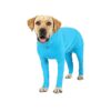 Sky Blue Dog Surgical Recovery Suit for Small Medium Large Dogs After Surgery