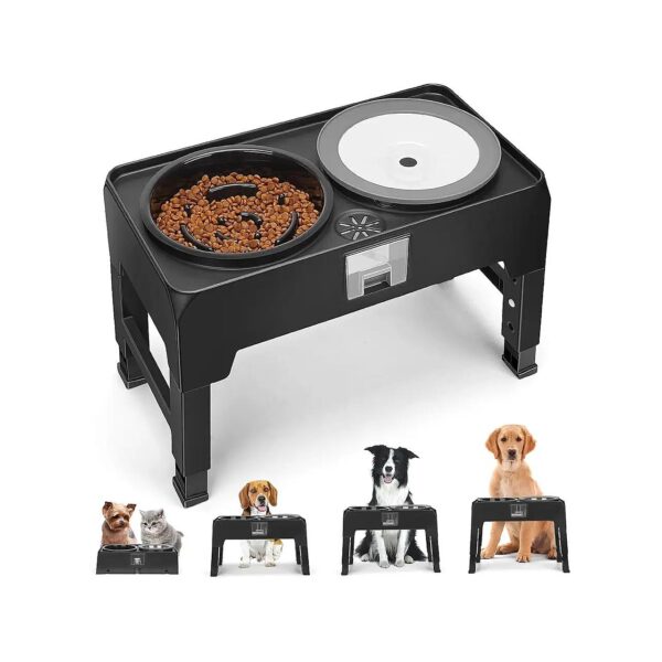 Slip Elevated Dog Bowl Stand with Slow Feeding Dog Bowl and Stainless Steel Water Bowl