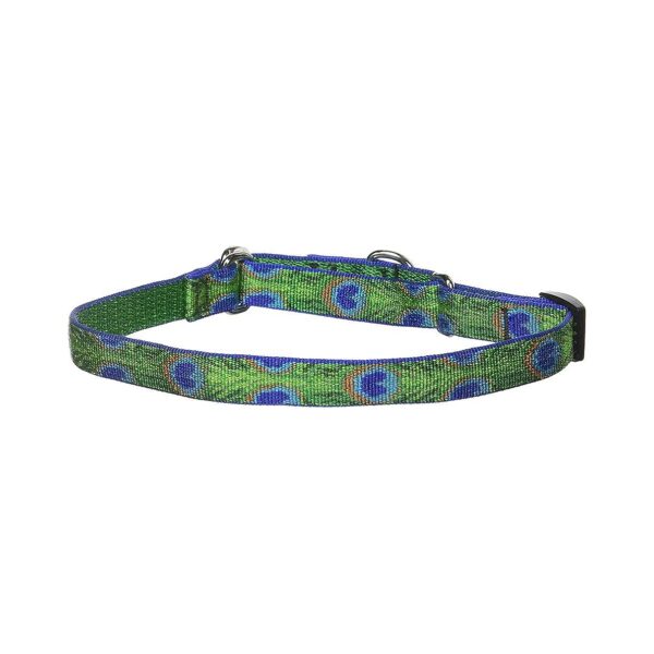 Slip-On Martingale Collar for Medium to Large Breed Dogs with Adjustable Length