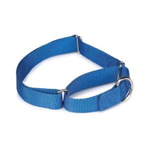 Slip-On Nylon Martingale Dog Collar for Necks 14-20 inches