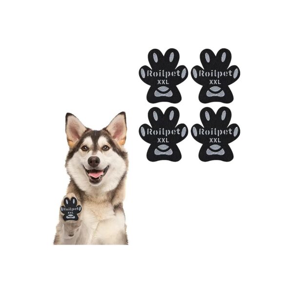 Slipping Slippy Floors Senior Dog Traction Pads Provide Confidence and Control