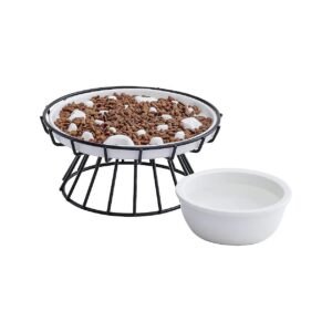 Slow Down Eating Ceramic Feeder Pet Bowl with Metal Stand for Cats and Dogs