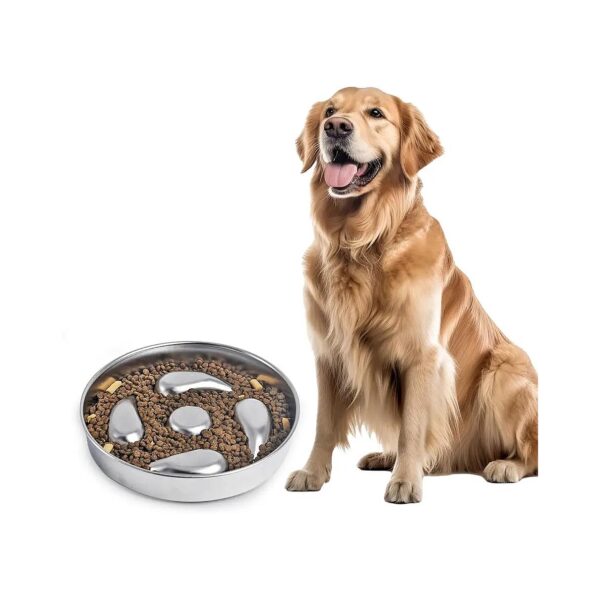 Slow Feeder Dog Bowl with Generous Capacity for Small and Medium Dogs