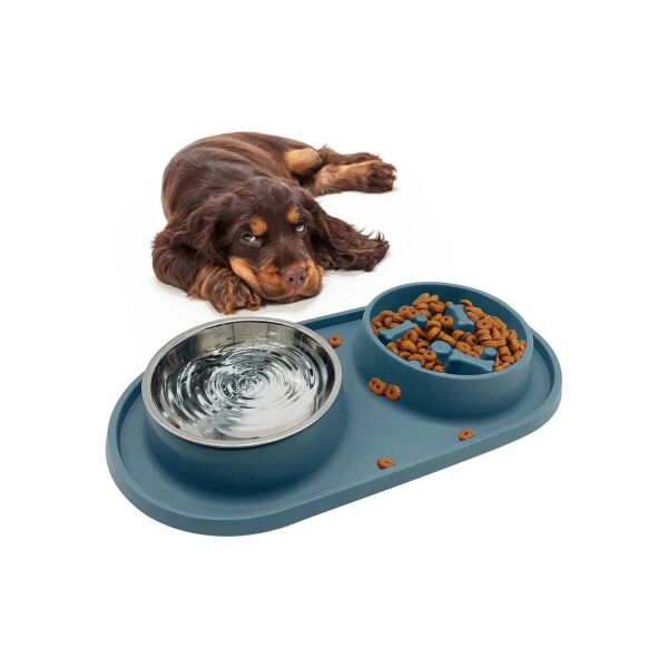 Slow Feeding Dog Bowl Set for Small to Medium Dogs and Cats with Whisker Friendly Design