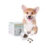 Slow Feeding Dog Toy Ball with Treat Dispenser for Impulse Control and Weight Management