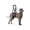 Small Black Dog Sling for Hind Legs with Velcro Straps and Soft Padding for Comfort