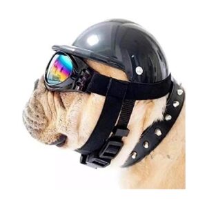 Small Black Doggie Cap with Aviator Goggles for Summer Outdoor Protection